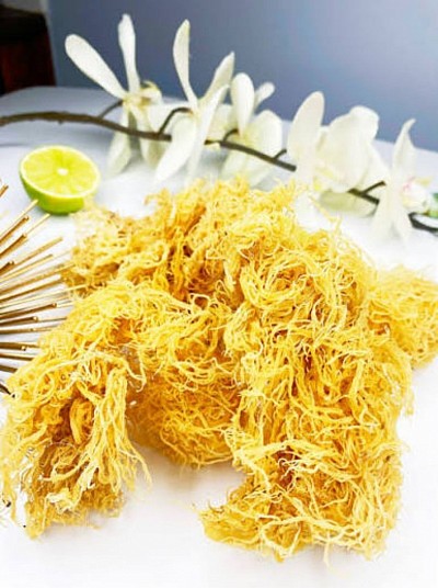 Gold sea moss is a nutrient-rich, sun-dried red algae, often sourced from St. Lucia, known for its mild taste and smooth texture. It's a popular variety of sea moss prized for its versatility and potential health benefits, including boosting energy, supporting the immune system, promoting digestive health, and improving skin and hair.