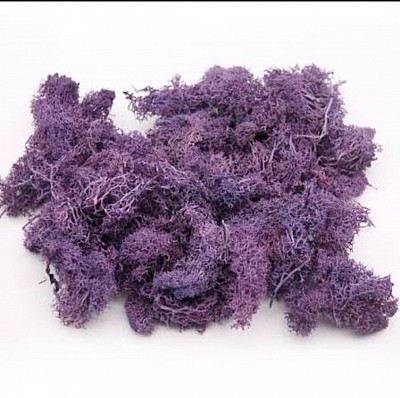 Purple sea moss, also known as Irish moss or Chondrus crispus, is a type of red algae with a distinctive deep purple color. It's a nutrient-rich superfood, particularly known for its high mineral content, including iodine, iron, and potassium. It's harvested from the sea, often from the Atlantic coasts of Europe and North America, and is used in various applications, from culinary to cosmetic.